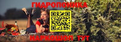 ГАЛЛЮЦИНОГЕННЫЕ ГРИБЫ Тверь
