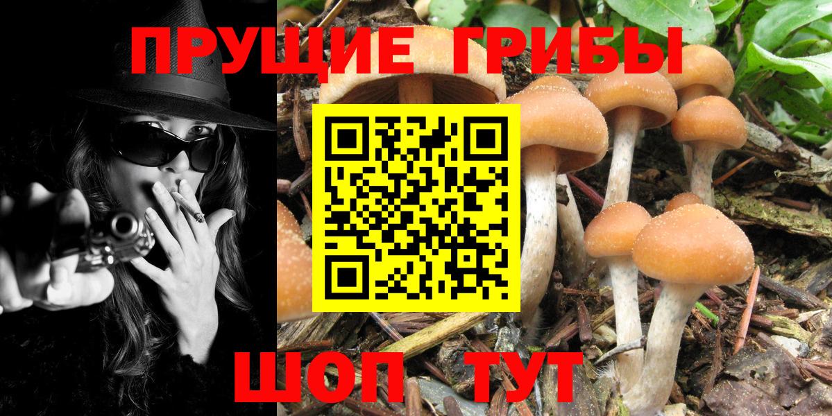 Псилоцибиновые грибы MAGIC MUSHROOMS  Вход с VPN  где купить наркотик  Орехово-Зуево 