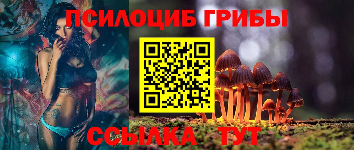 Псилоцибиновые грибы мицелий Орехово-Зуево
